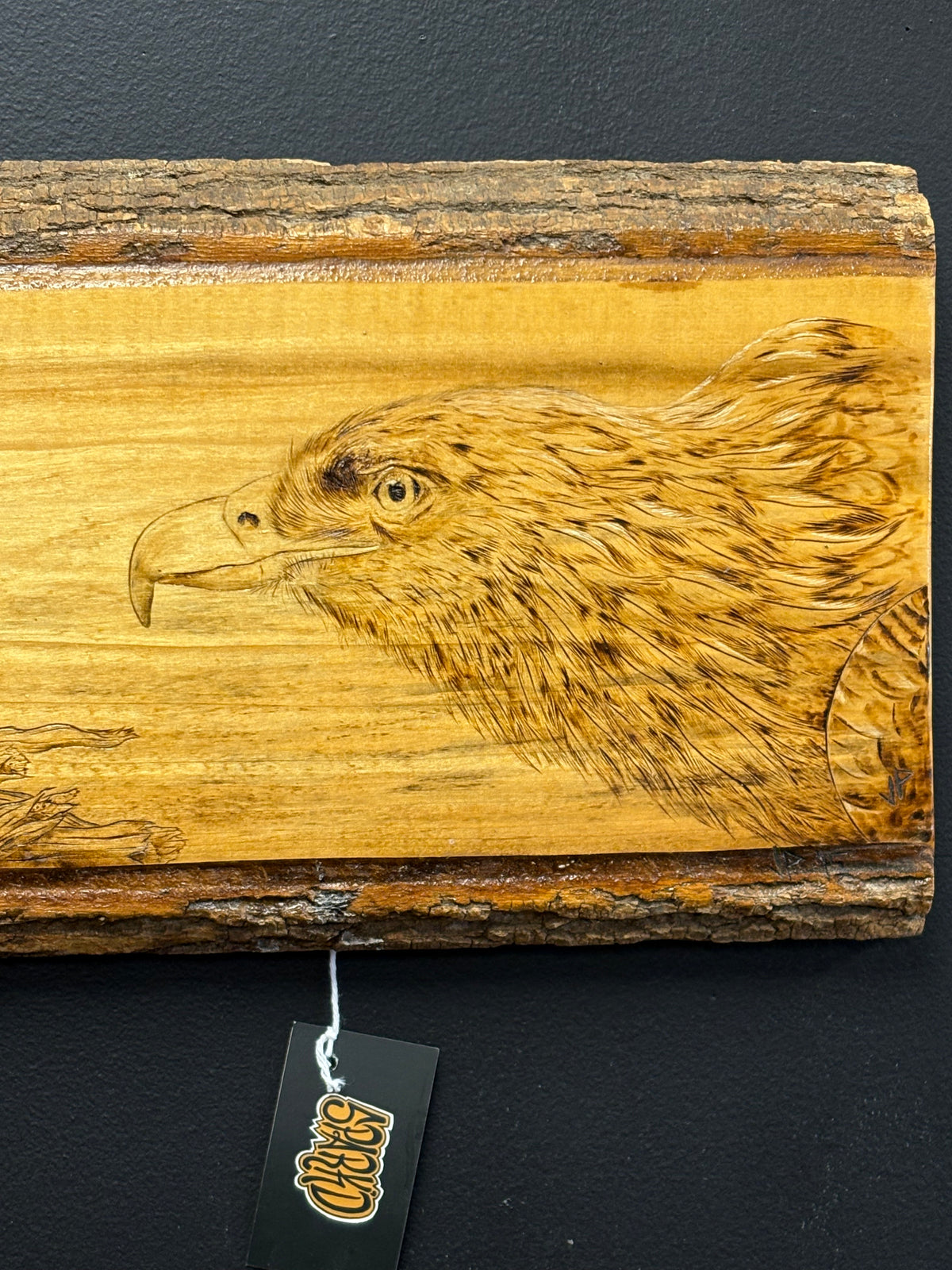 Eagle & Eaglet