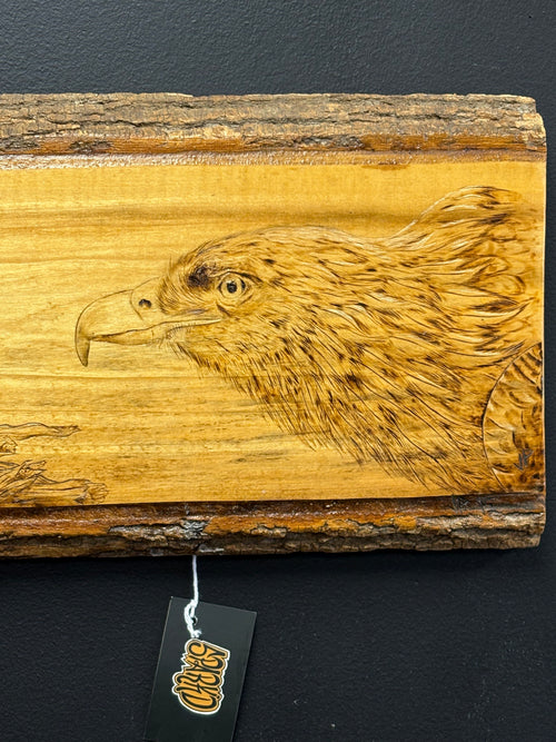 Eagle & Eaglet