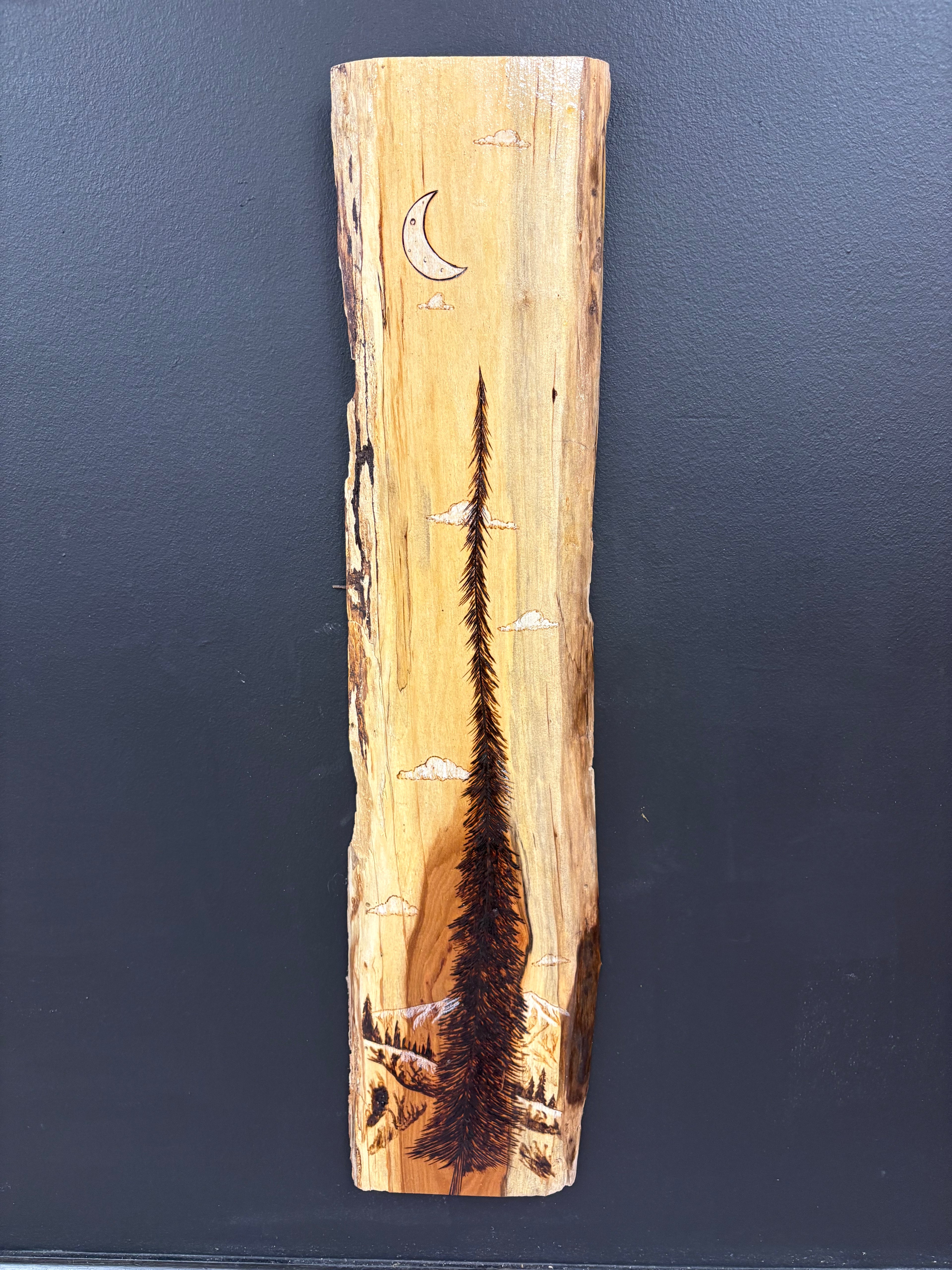 Live edge artwork