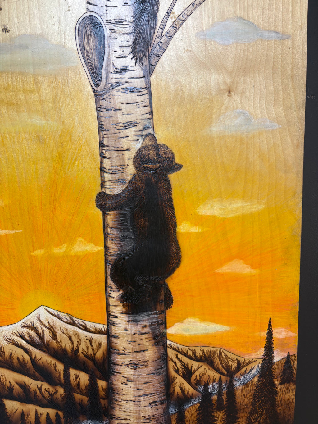 Bears and Honey