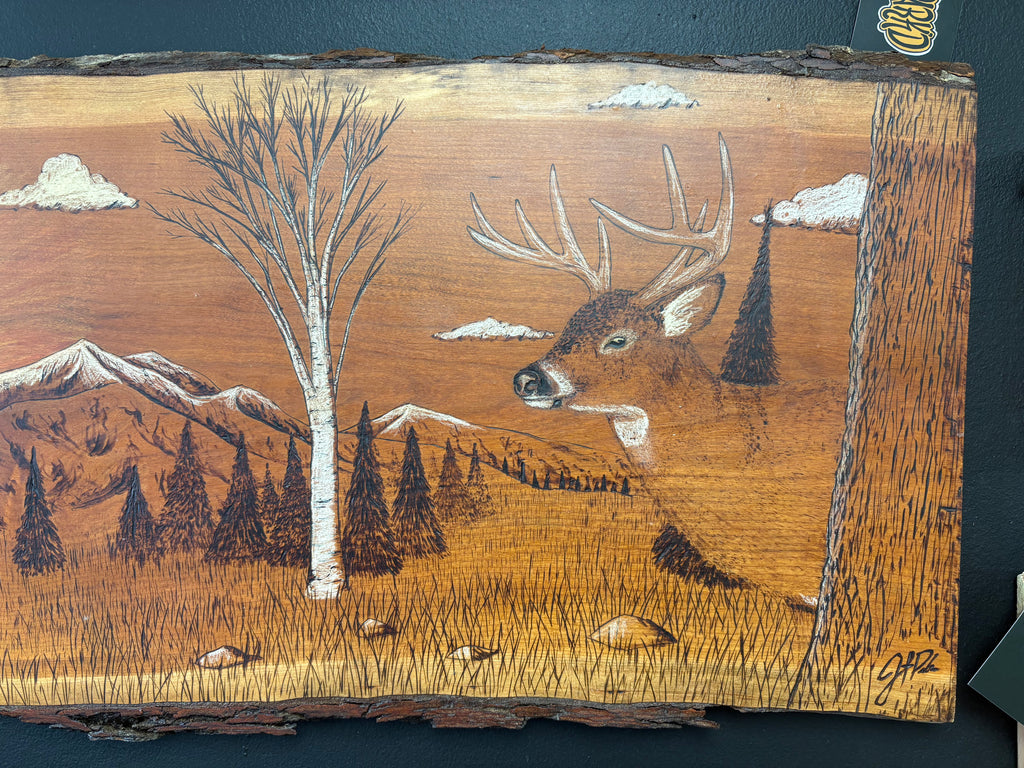An Owls Lunch