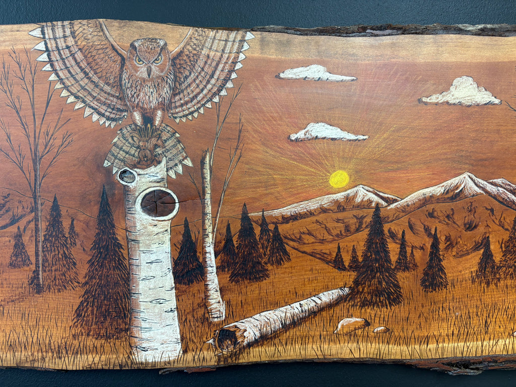 An Owls Lunch