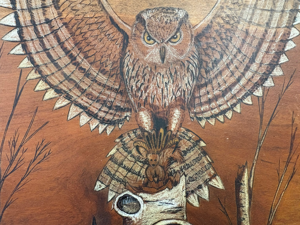 An Owls Lunch