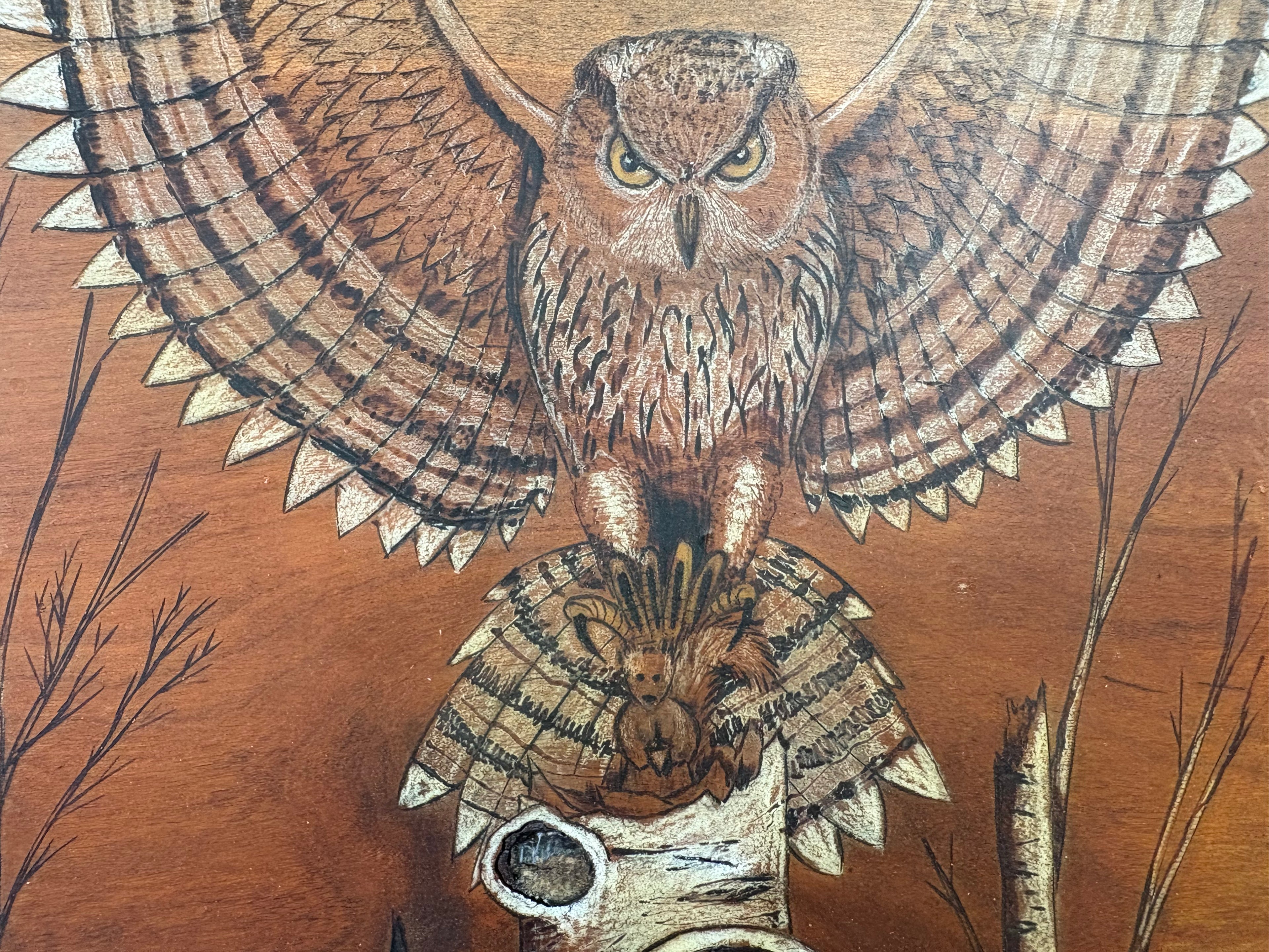 An Owls Lunch