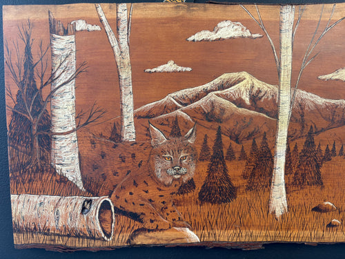 An Owls Lunch